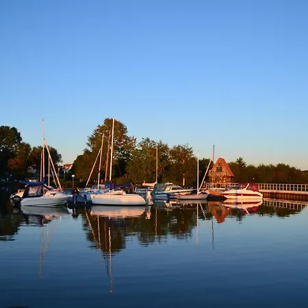 Daire Brose Uckeritz